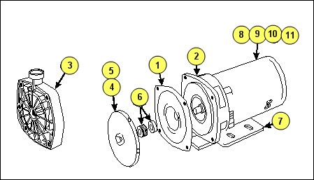 Water pump parts clearance name