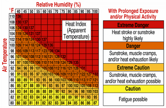 Temperature Humidity Chart Index
