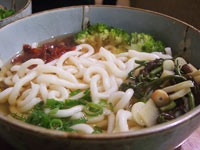 Udon