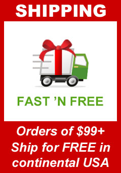 Free and Fast Holiday Shipping